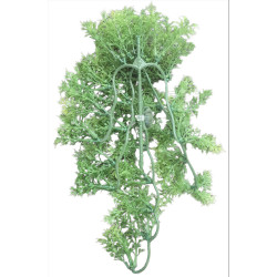 animallparadise Dekorative Pflanze aus Kunststoff, die dem australischen Ahorn nachempfunden ist, ca. 46 cm lang. AP-ZO-38772...