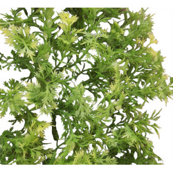 animallparadise Dekorative Pflanze aus Kunststoff, die dem australischen Ahorn nachempfunden ist, ca. 46 cm lang. AP-ZO-38772...