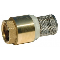 jardiboutique Valve with strainer "YORK" 3/4, in brass, for watering pumping strainer valve
