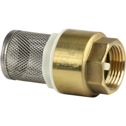 jardiboutique Valve with strainer "YORK" 3/4, in brass, for watering pumping strainer valve