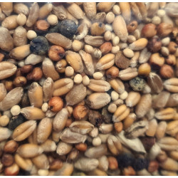 Saco de 3 kg de semente de pombo para aves ZO-139139 Semente alimentar