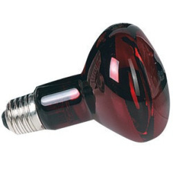Lâmpada de infravermelhos de 50 W - Lâmpada de infravermelhos para aquecimento nocturno FL-401095 Equipamento de aquecimento