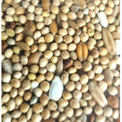 semente para periquitos grandes. 1 kg. saco para pássaros. ZO-139038 Semente alimentar