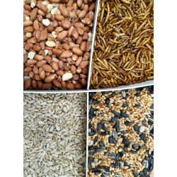 Mistura Premium 4 variedades de sementes e minhocas de refeição, balde de 2,5 kg para aves ZO-171037 Semente alimentar