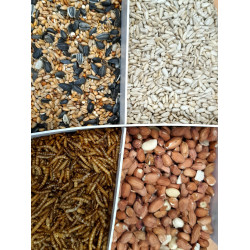 zolux Mix premium 4 variétés graines et vers de farine, Seau de 2.5 kg pour oiseaux Nourriture graine
