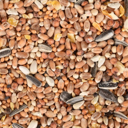 AP-FL-101834 animallparadise Mezcla de semillas para pájaros de toda la temporada Bolsa de 2,5 kg Alimentos para semillas