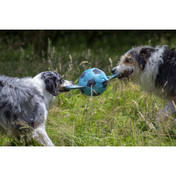 Piłka pływająca z uchwytami 35 cm dla psów. AP-FL-521934 animallparadise