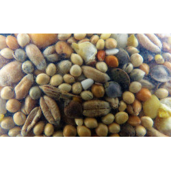 zolux Turteltauben-Samen nutrimeal - 12kg. ZO-139099 Nahrung Samen
