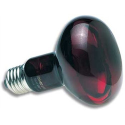 50 W Zoo med infrarood spotlamp - Infrarood nachtverwarmingslamp Zoo Med FL-401095 Verwarmingsapparatuur