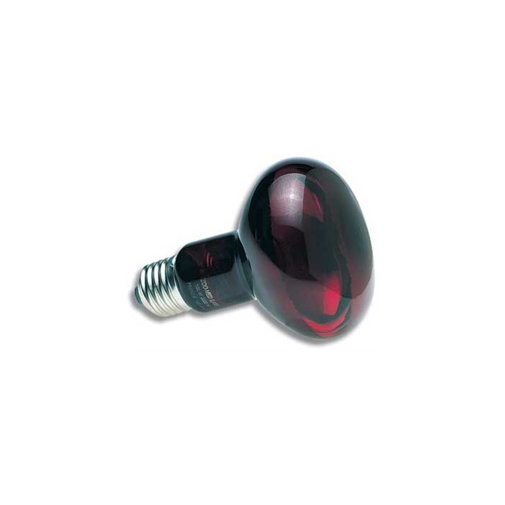 Lâmpada de infravermelhos de 50 W - Lâmpada de infravermelhos para aquecimento nocturno FL-401095 Equipamento de aquecimento