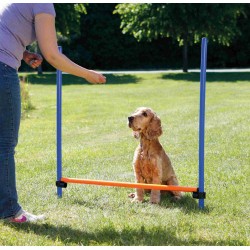 Trixie Agility Dog Obstacle 123 × 115 cm, ø 3 cm Agility dog