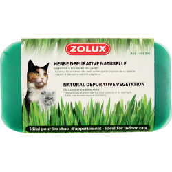 Natuurlijke kattenkruid 250 g tray zolux ZO-481550 Kattenkruid