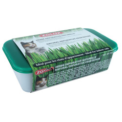 zolux Herbe à chat dépurative naturelle barquette de 250 g Herbe a chat