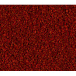 Tetra Croccantini per pesci rossi 20g - 100ml Mangime completo per pesci rossi ZO-174904 Cibo