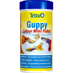 Tetra Guppy couleur mini flocons 75g - 250 ml Aliment pour les Guppies, platys, mollys, porte-épées Nourriture