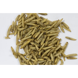 zolux Dried insects 250 g for birds insect food