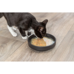 Trixie Suppe mit Huhn und Lachs 80 g für Katzen TR-42690 Leckerbissen Katze