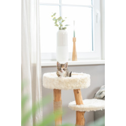 Trixie Albero per gatti Santo alto 73 cm per gatti TR-44714 Albero per gatti