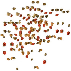 Tetra Min Granules feed for ornamental fish 400g/1 liter Food