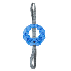 zolux Spielzeug TPR-Kreis mit blauen Leckerlis ø 12x 36 cm für Hunde ZO-479127BLE Spiele a Belohnung Süßigkeit