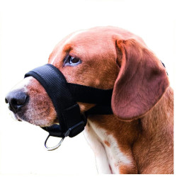 Trixie Strap muzzle size L-XL for Bernese Mountain Dog, Golden Retriever. Muzzle