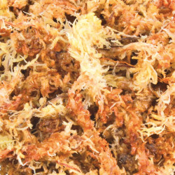 Trixie Sphagnum moss 100 g 4.5 Litres reptile Substrates