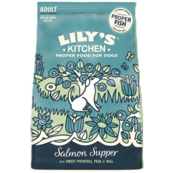 Lily's Kitchen 2.5 kg salmon feast dog food Lily's Kitchen Croquette