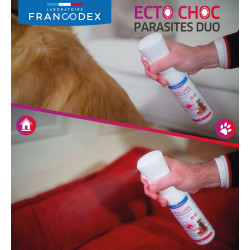 Francodex Ecto Choc Parasites duo 290 ml antiparasitaires pour chiens, chats et habitat Antiparasitaire pour l'habitat