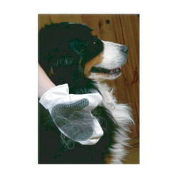 zolux Hunde- und Katzenpflegehandschuh für Hunde Zufallsfarbe ZO-470164 Handschuhe und Grooming Rolls