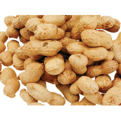 Vadigran Seeds for Peanut BIRDS 1.300Kg Nourriture graine