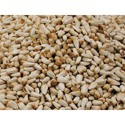 Sementes para sementes de cardy BIRDS 0.8Kg VA-260010 Semente alimentar