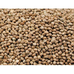Vadigran Seeds for BIRDS hemp seed 0.8Kg Nourriture graine