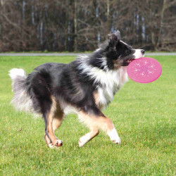 TR-33645 Trixie Flash Dog Disc Frisbee Toy 20 cm para perros Sables para perros