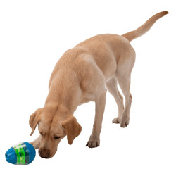 Trixie Culbuto egg treat for dogs Games has reward candy