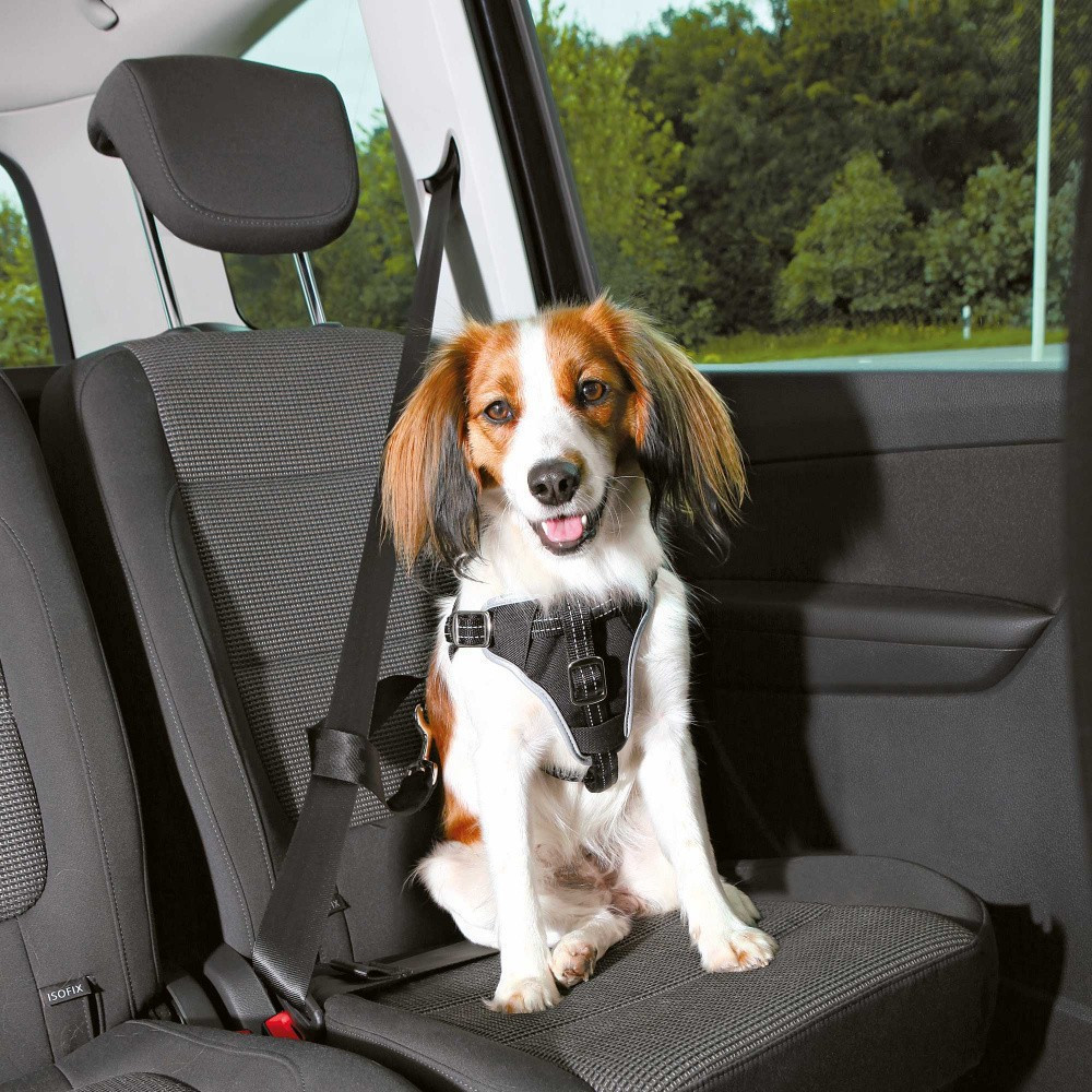 hoofdpijn jukbeen Gering Dog Confort S-M auto harnas voor honden TR-12855 Trixie