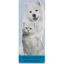 Dubbele borstel 6 x 23 cm voor hond of kat Trixie TR-24152 Borstel