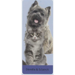 Trixie Entfilzungskamm für Katzen und Hunde, Maße: 6 × 18 cm TR-24242 Bürste