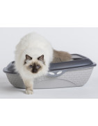 Litter boxes for your cat
